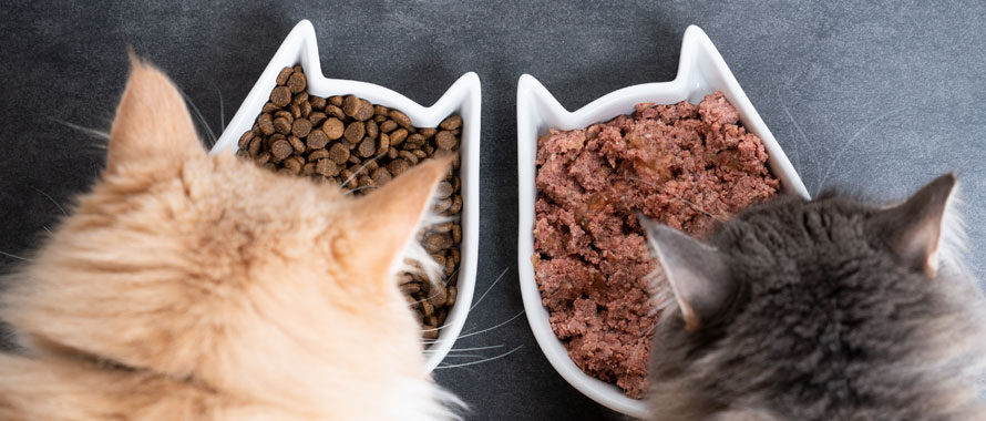 Nourriture pour chats — Wikipédia