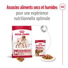 Royal Canin - Croquettes Medium Adult image number null