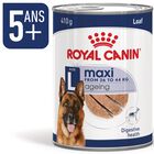 Royal Canin - Pâtée en Mousse Maxi Adult Ageing L - 410g image number null