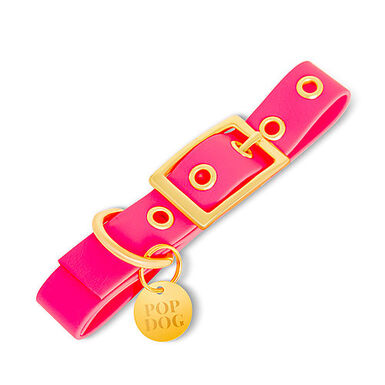 Pop Dog - Collier à Œillet Glouton Rose pour Chien - XL