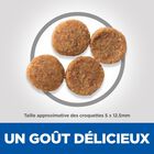 Hill's Science Plan - Adult Sensitive Stomach & Skin Croquettes Pour Chien Au Poulet  - 12kg image number null