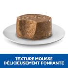 Hill’s Science Plan Perfect Digestion Adult Small&Mini Mousse Chien Adulte Petite Race Dinde - 200g image number null