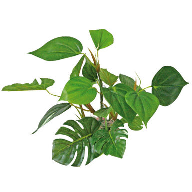 Amtra - Décoration Plant Replica Anubias - 20cm