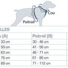 Kurgo - Harnais de Sécurité "Tru-Fit" Bleu pour Chiens - XL image number null