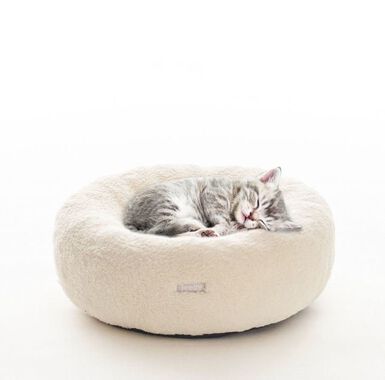 Leeby - Donut Chaton Mouton