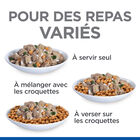 Hill’s Science Plan Heathy Cuisine Mijotés Pour Chat Adulte Au Poulet Et Légumes Ajoutés  - 12x80g image number null