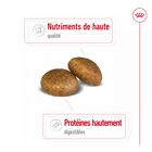 Royal Canin - Croquettes Maxi Adult pour Chien image number null