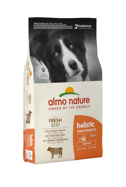 Almo Nature Holistic - Adulte Moyenne Race Bœuf Frais - Sac 12 Kg