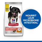 Hill's Science Plan - Puppy Perfect Digestion Croquettes Pour Chiot  -  2,5kg image number null