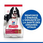 Hill's Science Plan - Adult Croquettes Pour Chien A L'agneau Et Riz  - 18kg image number null