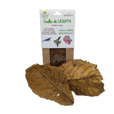 Thibaud - Feuilles de Catappa pour Poissons d'Eau Douce - x5