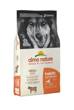 Almo Nature Holistic - Adulte Grande Race Bœuf Frais - Sac 12 Kg