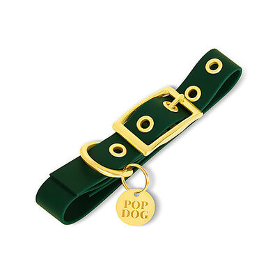 Pop Dog - Collier à Œillet Elégant Vert pour Chien - XL