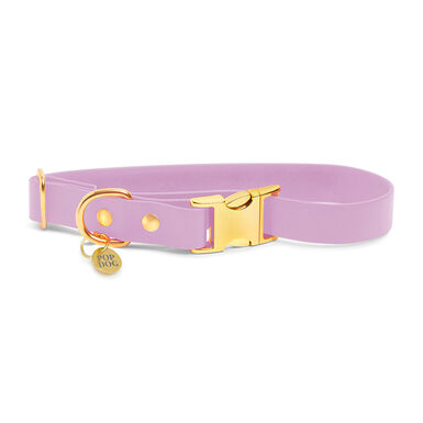 Pop Dog - Collier Précieux Violet pour Chien - S