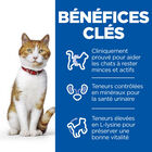 Hill's Science Plan - Sterilised Cat 12 Sachets Repas Pour Chat Stérilisé Poulet Et Saumon  - 12x85g image number null