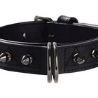 Bobby - Collier Hercule Noir pour Chiens - 35cm image number null