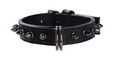 Bobby - Collier Hercule Noir pour Chiens - 35cm