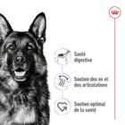 Royal Canin - Pâtée en Mousse Maxi Adult L - 410g image number null