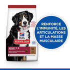 Hill's Science Plan - Adult Croquettes Pour Grand Chien A L'agneau Et Riz  - 12kg image number null