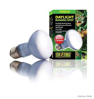 Exo Terra - Ampoule Daylight Basking Spot - 100W