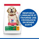 Hill's Science Plan - Puppy Croquettes Pour Chiot De Grande Taille Au Poulet  - 12kg image number null