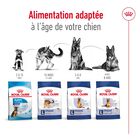 Royal Canin - Croquettes Maxi Adult pour Chien image number null