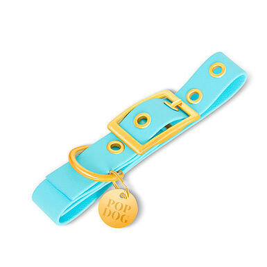 Pop Dog - Collier à Œillet Dragueur Bleu pour Chien - L