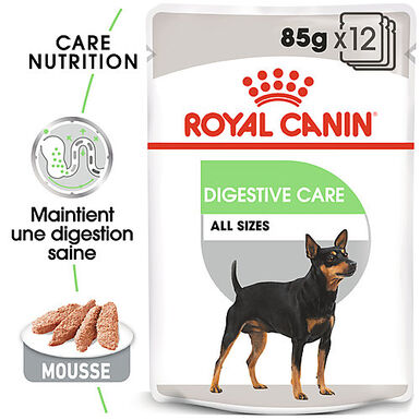Royal Canin - Sachets Digestive Care en Mousse pour Chien - 12X85g