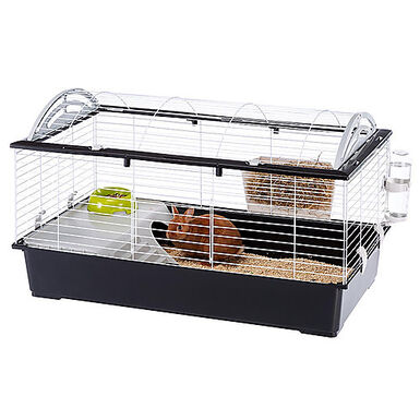 Cage de transport lapin et rongeurs