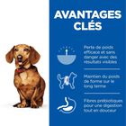 Hill's Science Plan - Adult Perfect Weight Small&Mini Croquettes Pour Petit Chien Au Poulet  - 1,5kg image number null