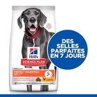 Hill's Science Plan - Perfect Digestion Large Breed Croquettes Pour Chien  - 12kg image number null