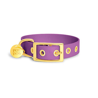 Pop Dog - Collier à Œillet Précieux Violet pour Chien - XL