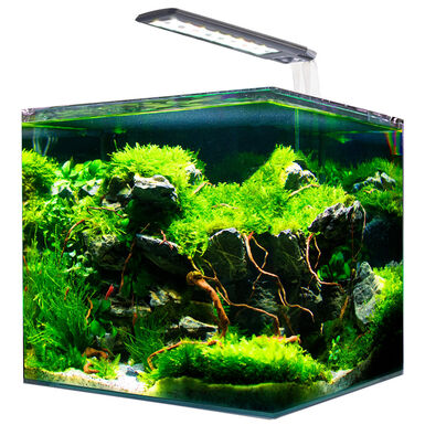 Amtra - Kit Aquarium Nanotank System 15 - 30x20x25cm