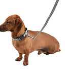 Bobby - Collier Pretty Vert XS pour Chiens - 28cm image number null