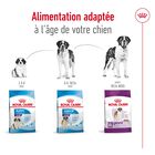 Royal Canin - Croquettes Giant Adult pour Chien - 15Kg image number null