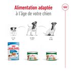 Royal Canin - Pâtée en Mousse Mini Ageing S - 195g image number null