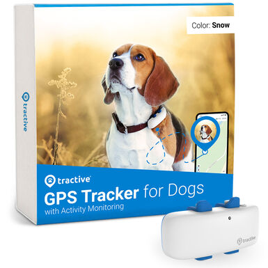 Tractive - Traceur GPS DOG 4 pour Chiens - Blanc