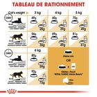 Royal Canin - Croquettes SPHYNX ADULT pour chats - 10KG image number null