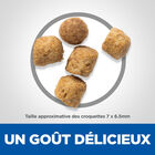 Hill's Science Plan - Adult Urinary Health Croquettes Pour Chat Stérilisé Au Poulet -  3kg image number null