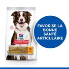 Hill's Science Plan - Adult Healthy Mobility Croquettes Pour Chien Au Poulet  - 12kg image number null