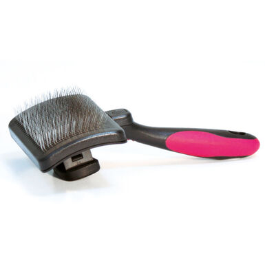 Croci - Brosse Carder Vanity Autonettoyante pour Chiens - M