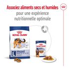 Royal Canin - Croquettes Maxi Adult pour Chien image number null