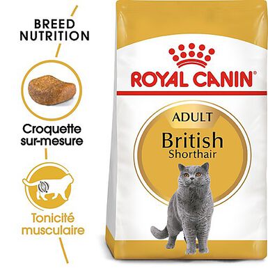 Royal Canin - Croquettes British Shorthair pour Chat Adulte - 2Kg