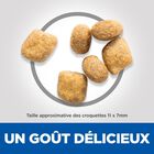 Hill's Science Plan - Croquettes Oral Care Chat au Poulet - 1,5kg image number null