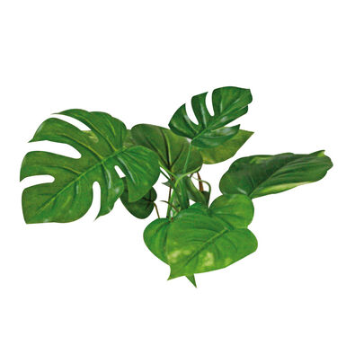 Amtra - Décoration Plant Replica Anubias - 15cm