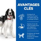 Hill's Science Plan - Adult Croquettes Pour Chien A L'agneau Et Riz  - 18kg image number null