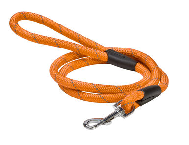 Bobby - Laisse Walk Orange pour Chiens - 120cm