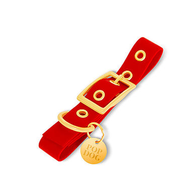 Pop Dog - Collier à Œillet Diablotin Rouge pour Chien - L