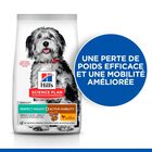 Hill's Science Plan - Perfect Weight & Active Mobility Croquettes Chien Adulte Medium Poulet  - 12kg image number null