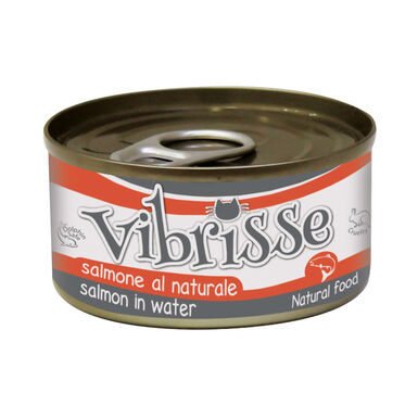 Vibrisse - Pâtée Natural Food au Saumon pour chats - 70g